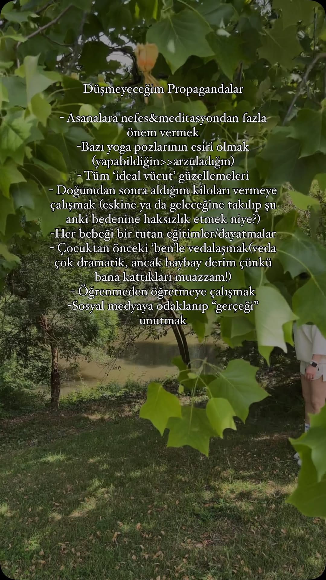 Post 3 by Ayşe Kaya on Instagram (video)
