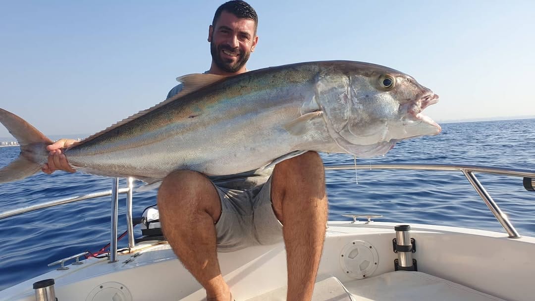 Post 10 by Atilla Mert | Balık Firarda on Instagram (image)