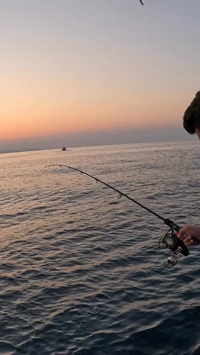Post 1 by Atilla Mert | Balık Firarda on Instagram (video)