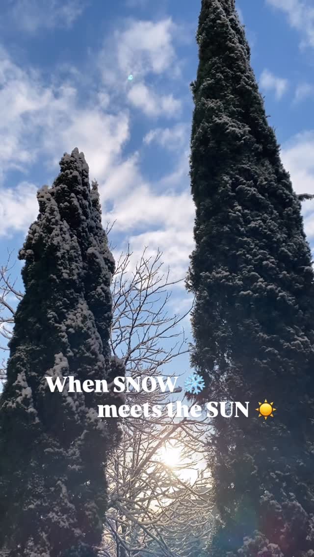 Post 1 by PiñA ~ Punch Needle / Travel on Instagram (video)