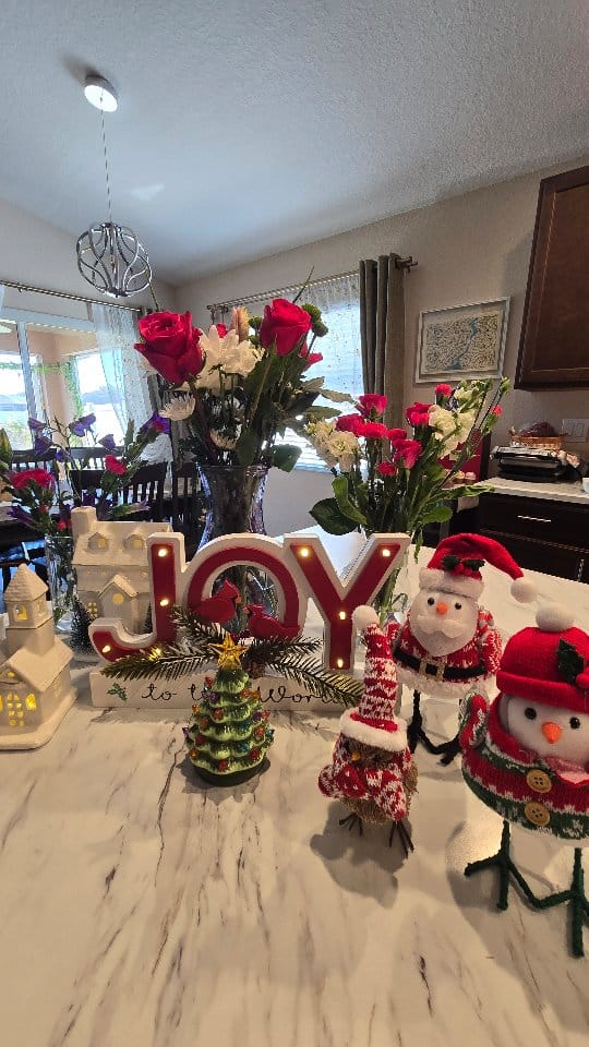 Post 7 by Sibel Ergün Alpar|Turkish speaking realtor Tampa to Orlando on Instagram (video)