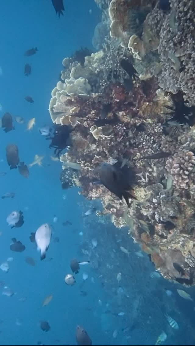 Post 2 by M. Adib Dwitamma Putra on Instagram (video)