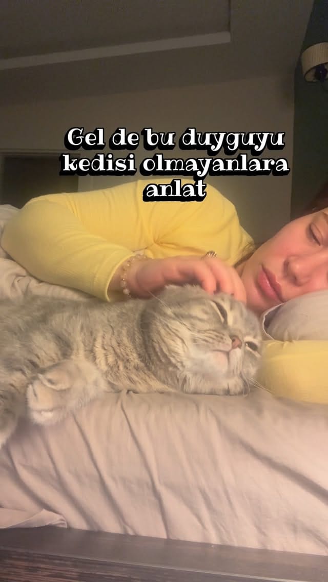 Post 5 by TUĞÇE 🌸 on Instagram (video)