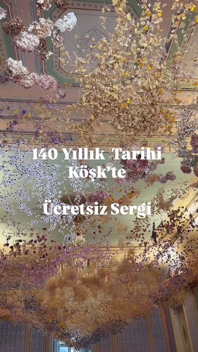 Post 4 by Cansu Eryiğit on Instagram (video)