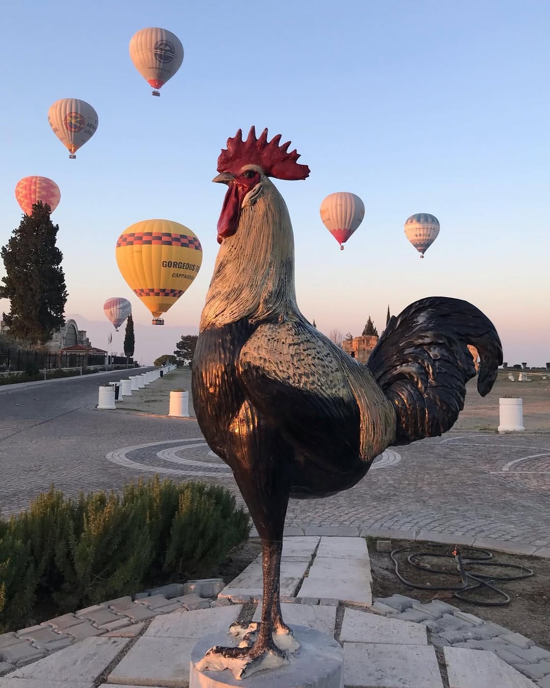Post 6 by Faik Tekkurt on Instagram (image)