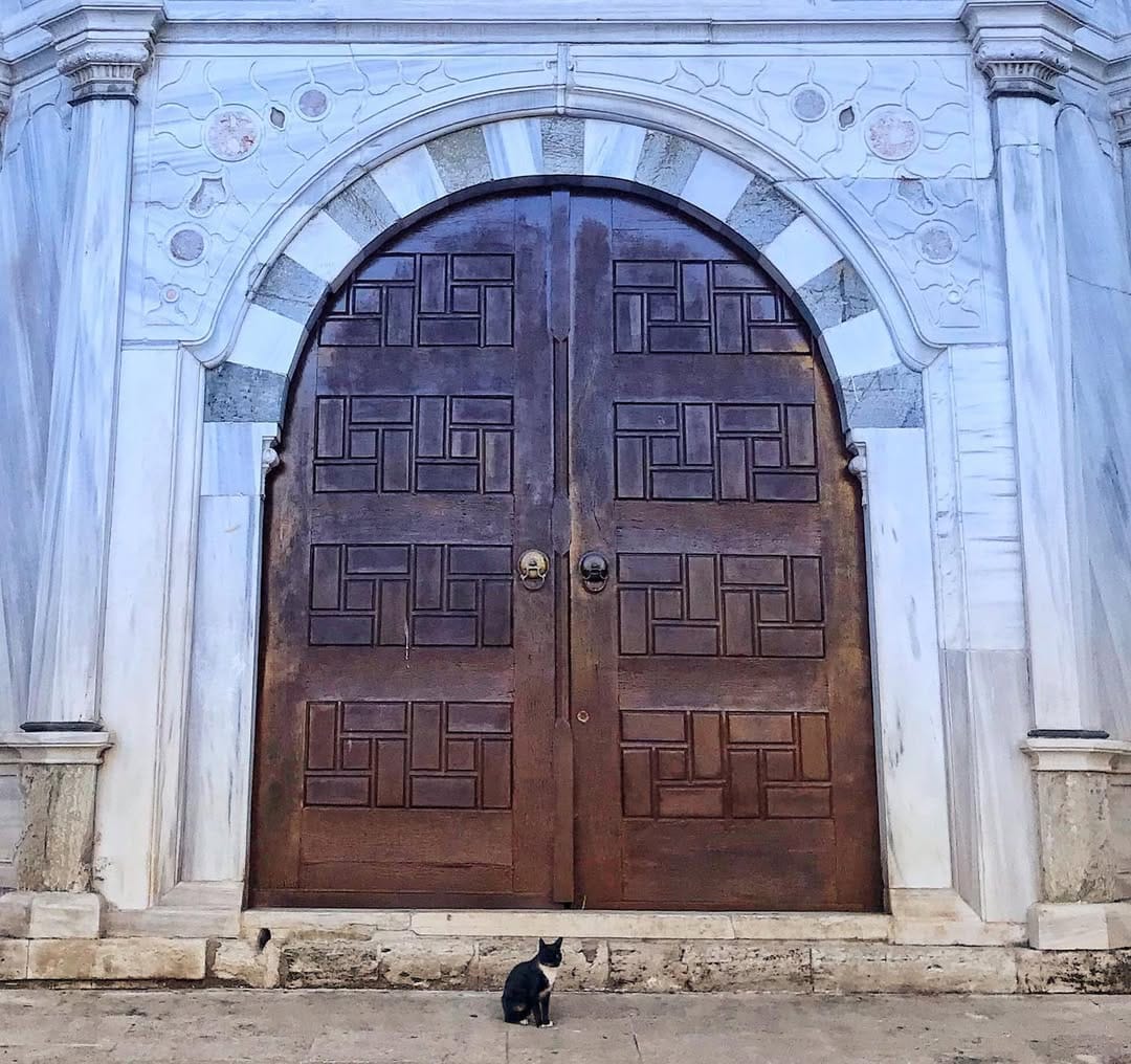 Post 4 by Faik Tekkurt on Instagram (image)