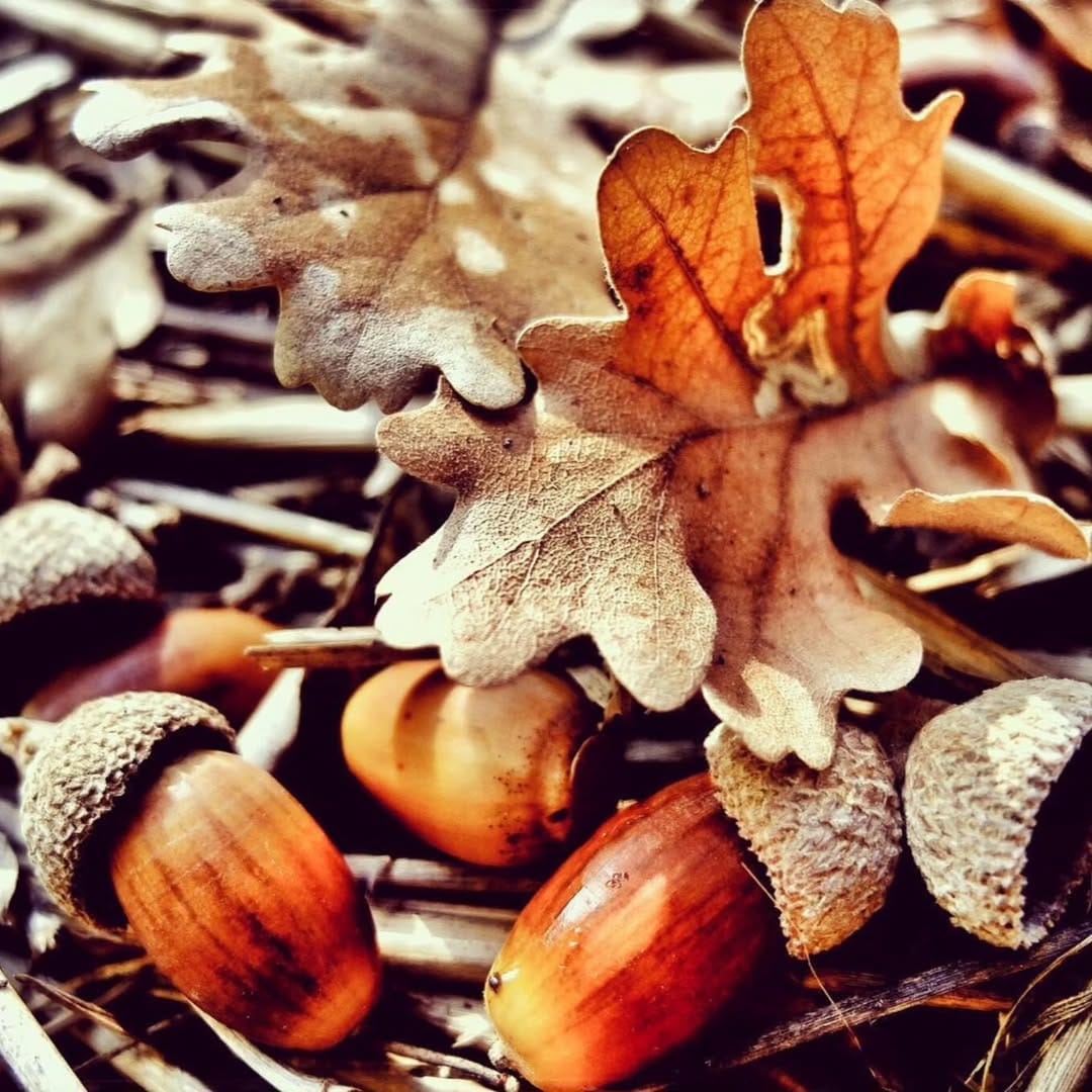 Post 6 by Elsa on Instagram (image)