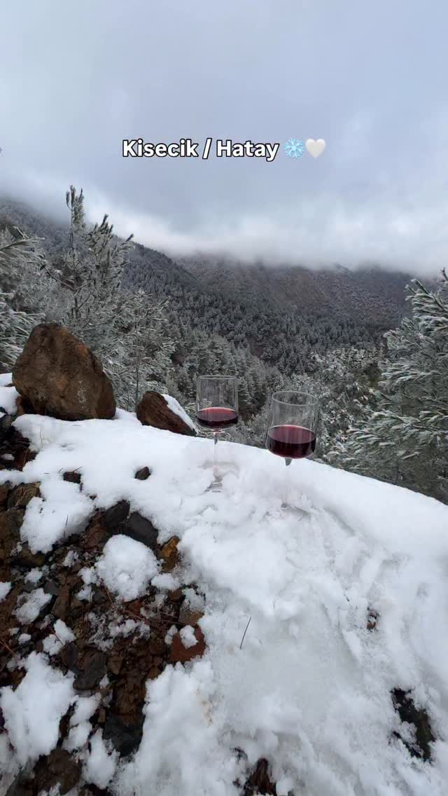 Post 1 by Hatıra Boyraz on Instagram (video)