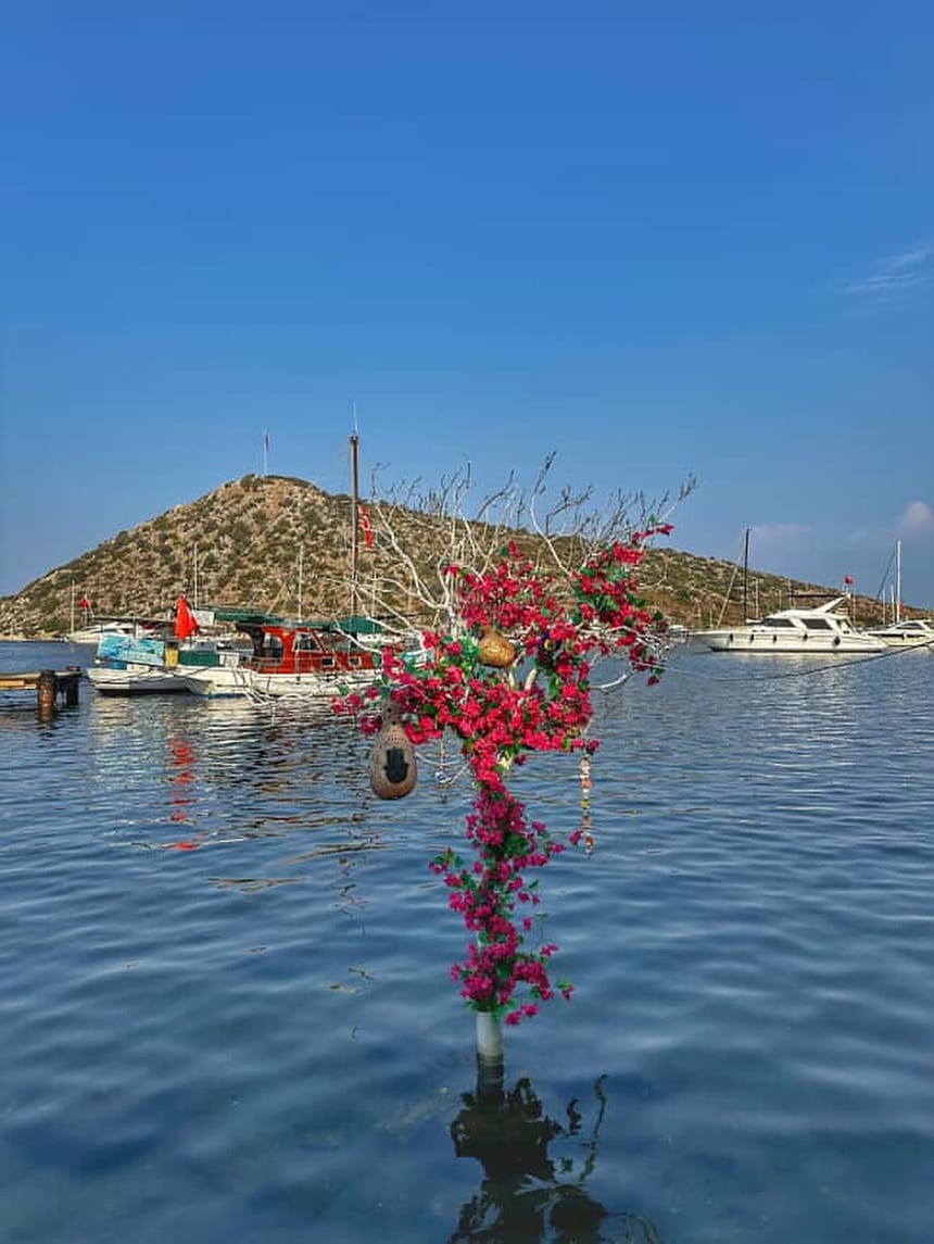 Post 10 by Muğla Turkey 🇹🇷  #muglaturkey on Instagram (image)