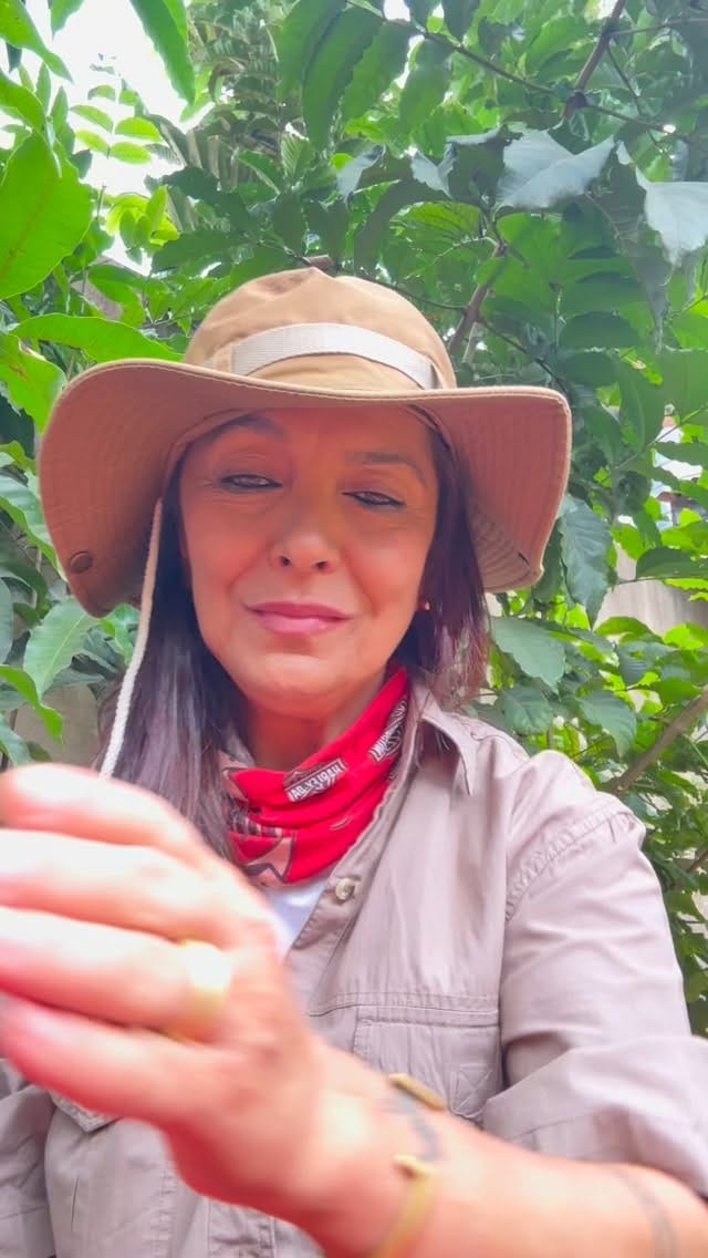 Post 4 by Meltem Yaşar on Instagram (video)