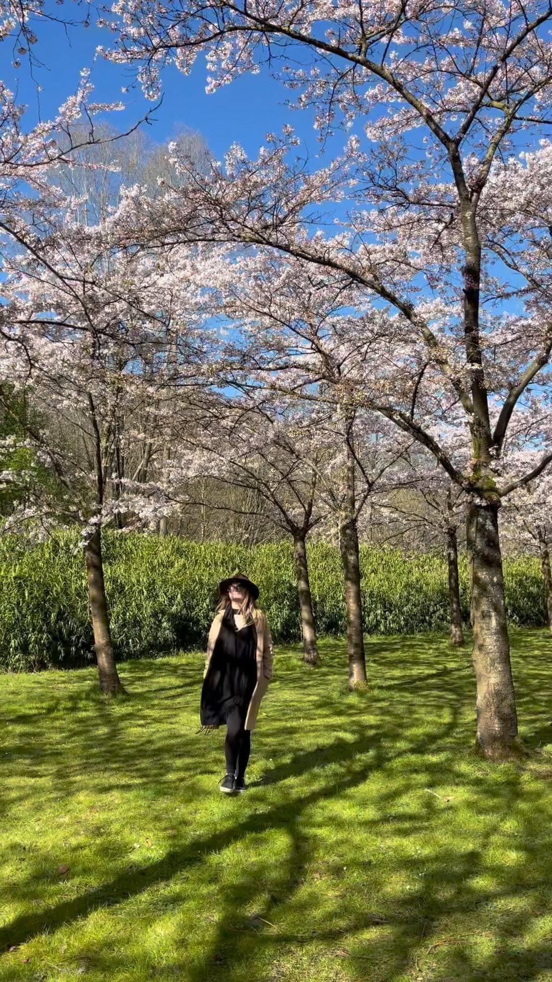 Post 5 by 🄴🄻🄶🄴🅉🄴🄽🄻🄴🅁🅈🄾🄻🄳🄰 on Instagram (video)