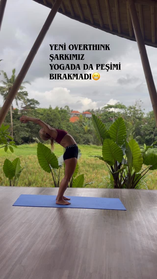 Post 7 by Özlem Gür on Instagram (video)
