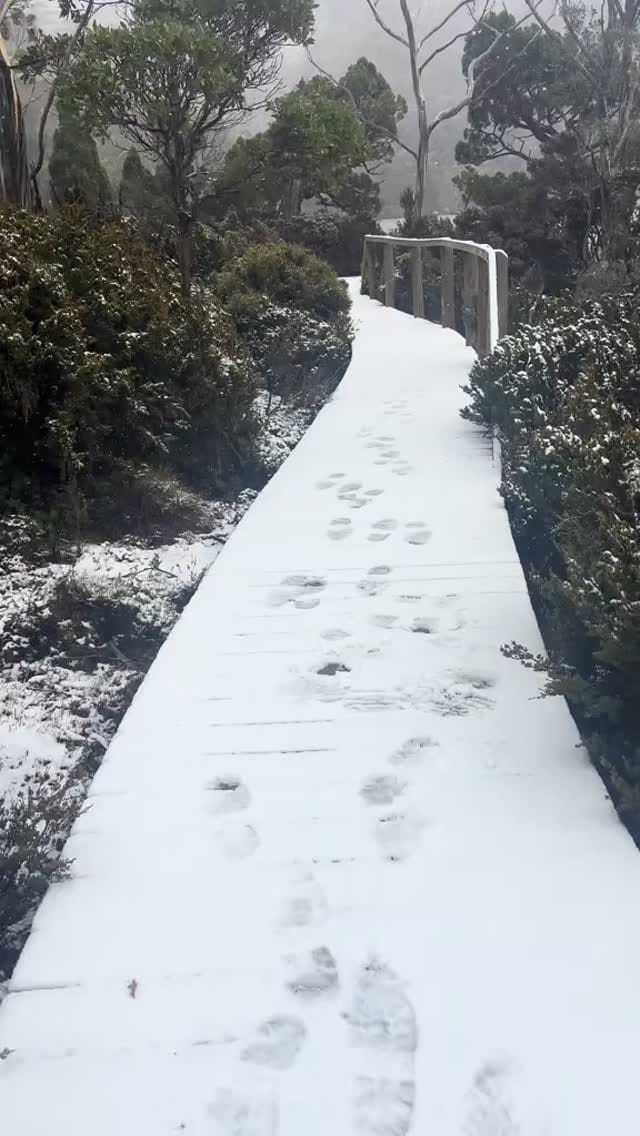 Post 6 by Matt Lissandrello on Instagram (video)