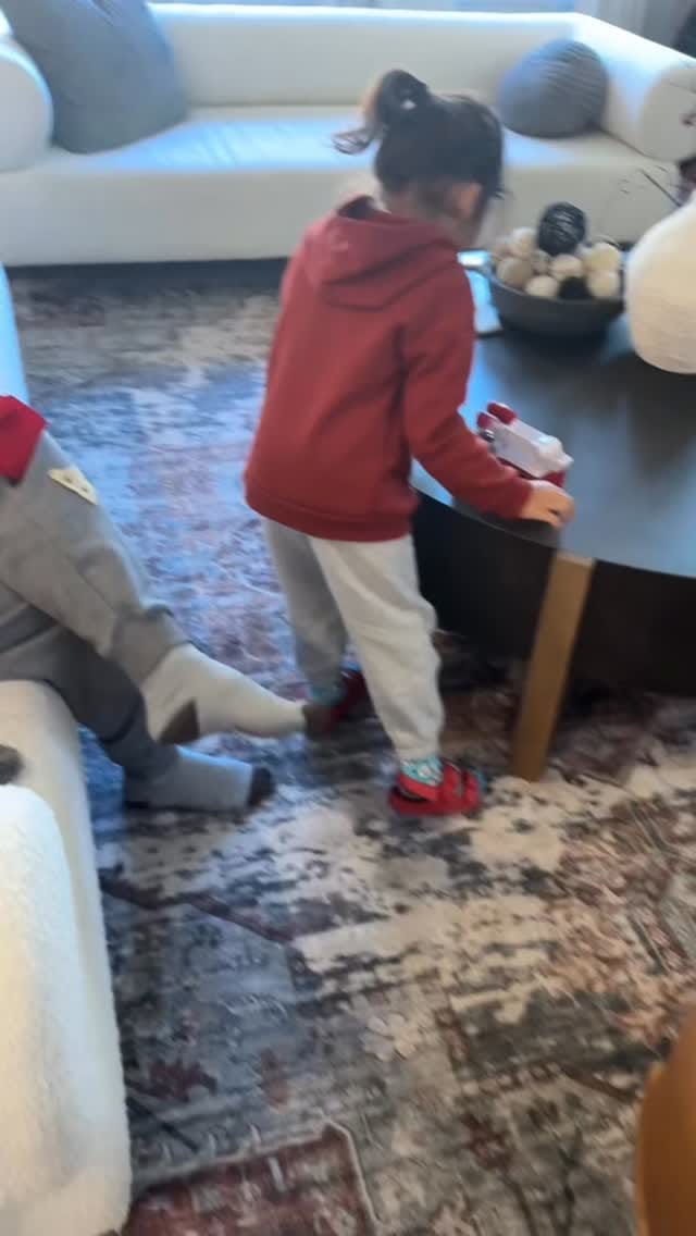Post 4 by Mayank Sinha/Tanya Sinha on Instagram (video)