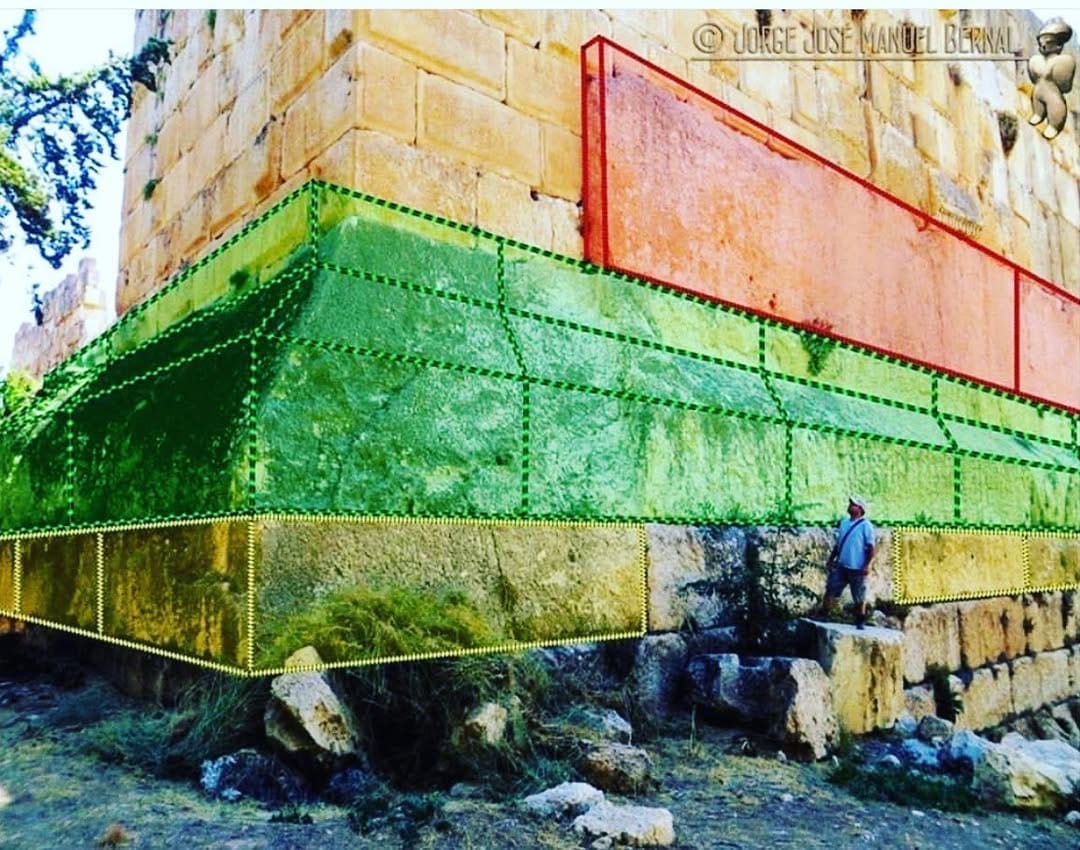 Post 7 by Forbidden Archeology on Instagram (image)