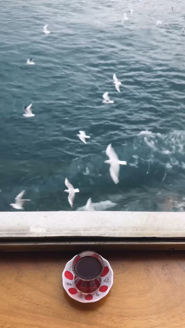 Post 7 by Sezgi Olgaç on Instagram (video)