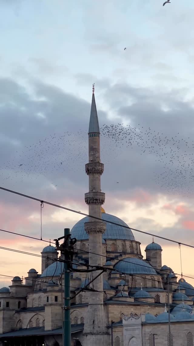 Post 8 by Sezgi Olgaç on Instagram (video)