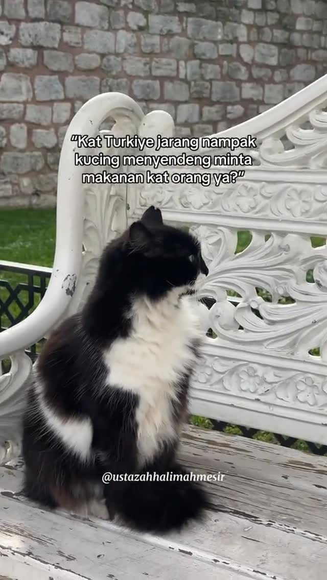 Post 1 by Ustazah Halimah Mesir on Instagram (video)