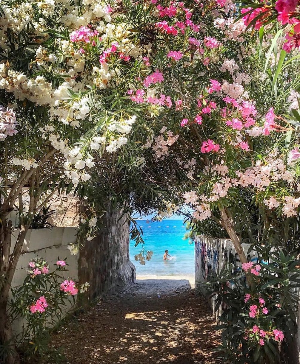 Post 10 by Eda Şen on Instagram (image)