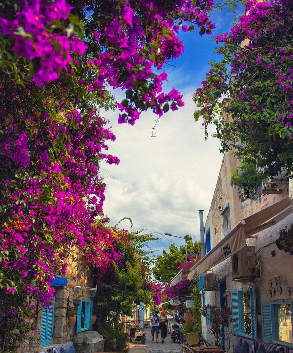 Post 8 by Eda Şen on Instagram (image)
