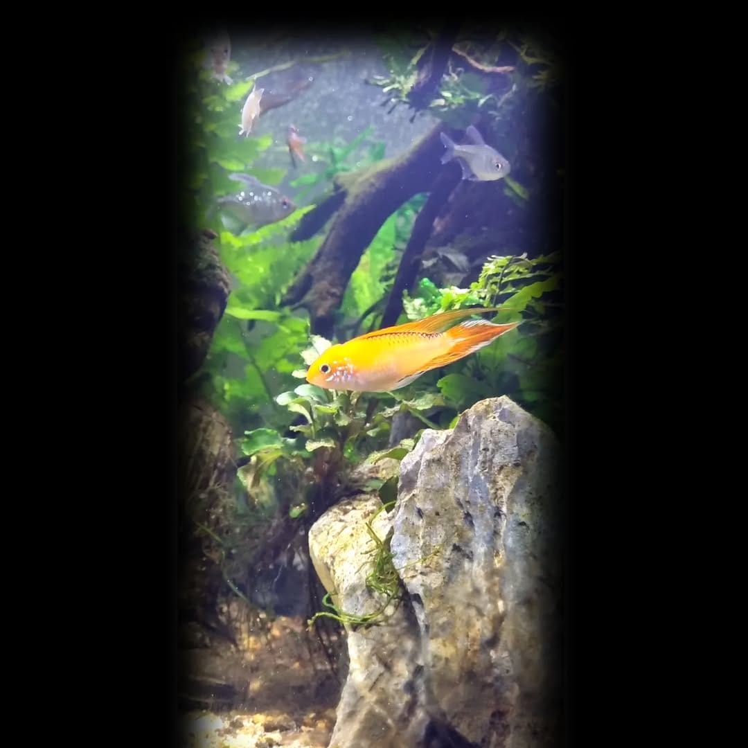 Post 8 by VYSHAKH RAM on Instagram (image)