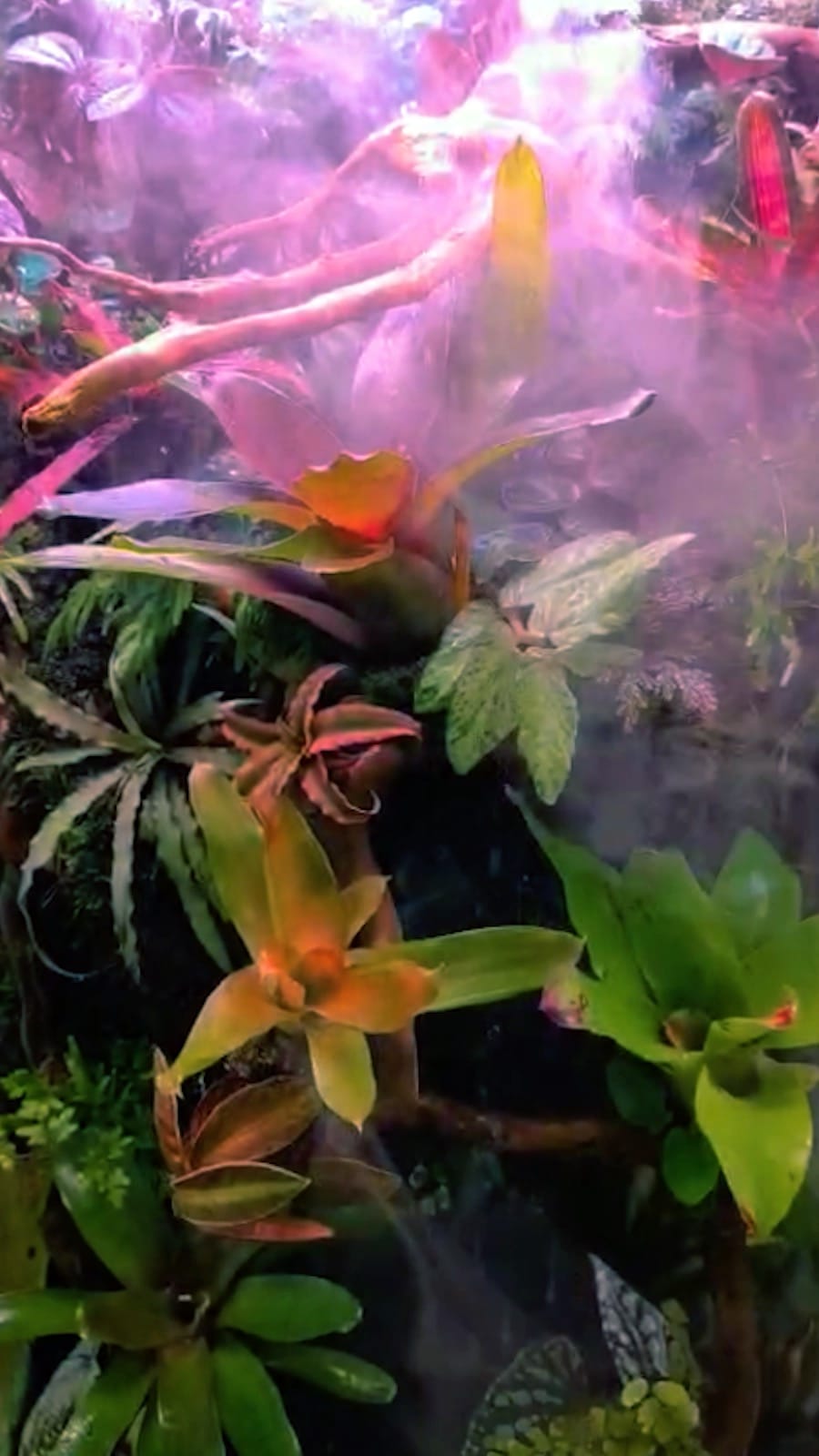 Post 7 by Discus.ae on Instagram (video)