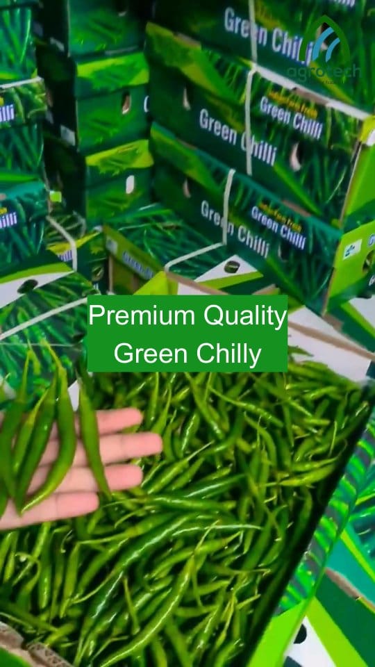Post 7 by AGROTECH GENERAL TRADING LLC DUBAI 🇦🇪 on Instagram (video)