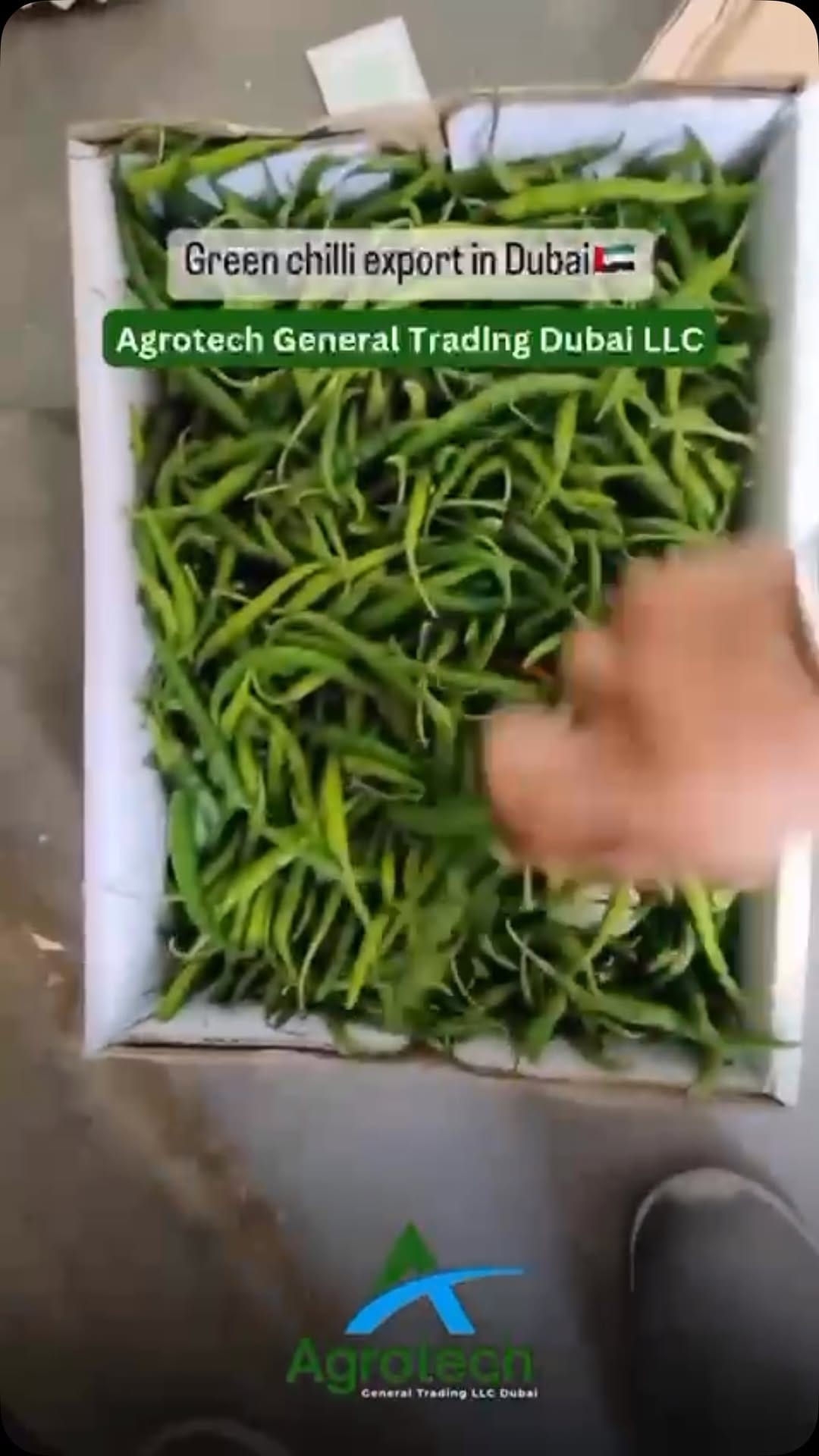 Post 1 by AGROTECH GENERAL TRADING LLC DUBAI 🇦🇪 on Instagram (video)