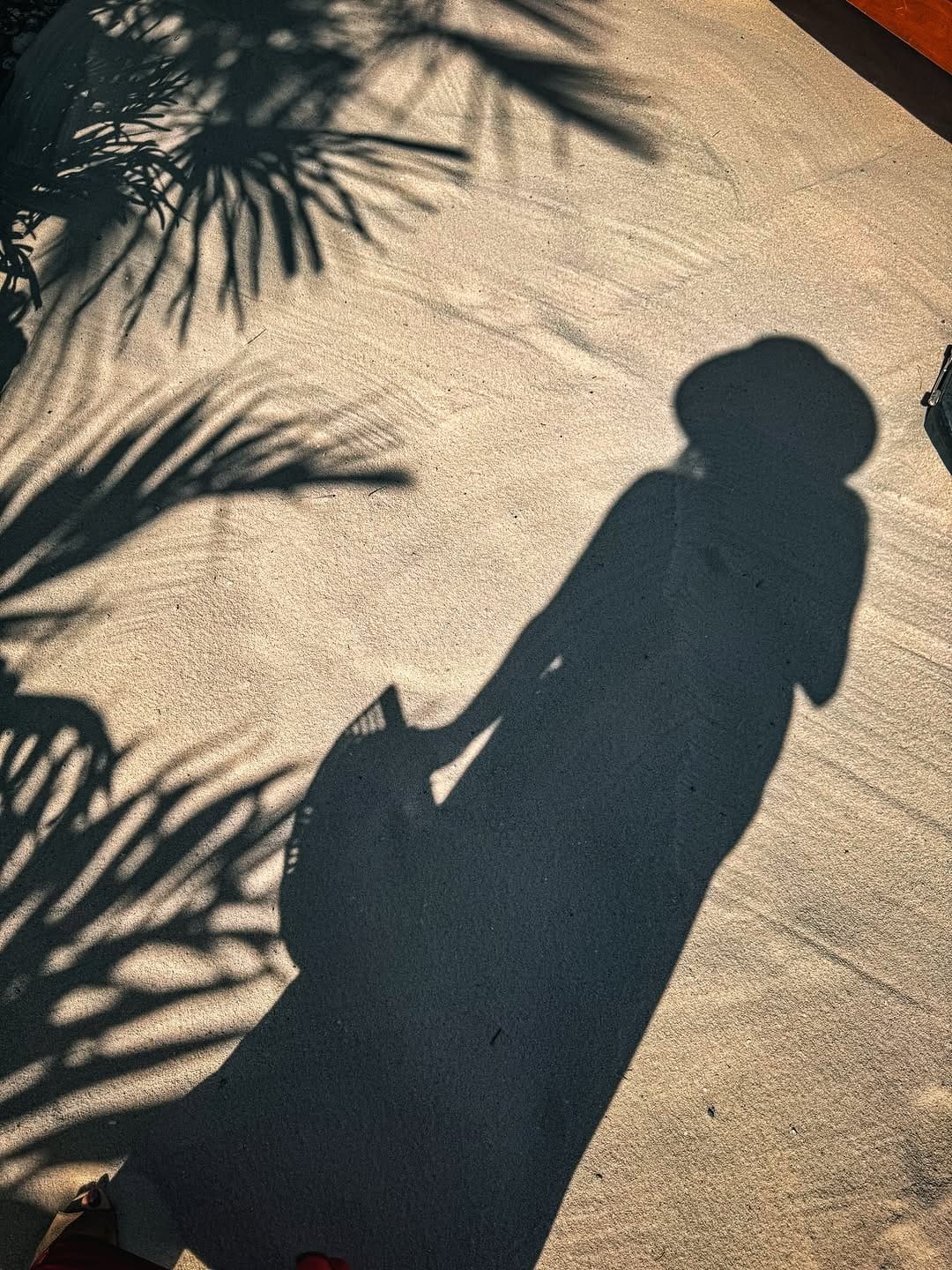 Post 4 by MICHELLE  KAREH NAKHLE 🎈 on Instagram (carousel)