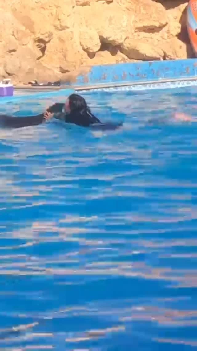 Post 3 by Amira Alia on Instagram (video)