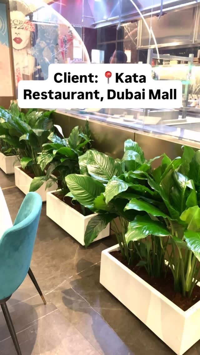 Post 9 by Well Potted Plants LLC on Instagram (video)