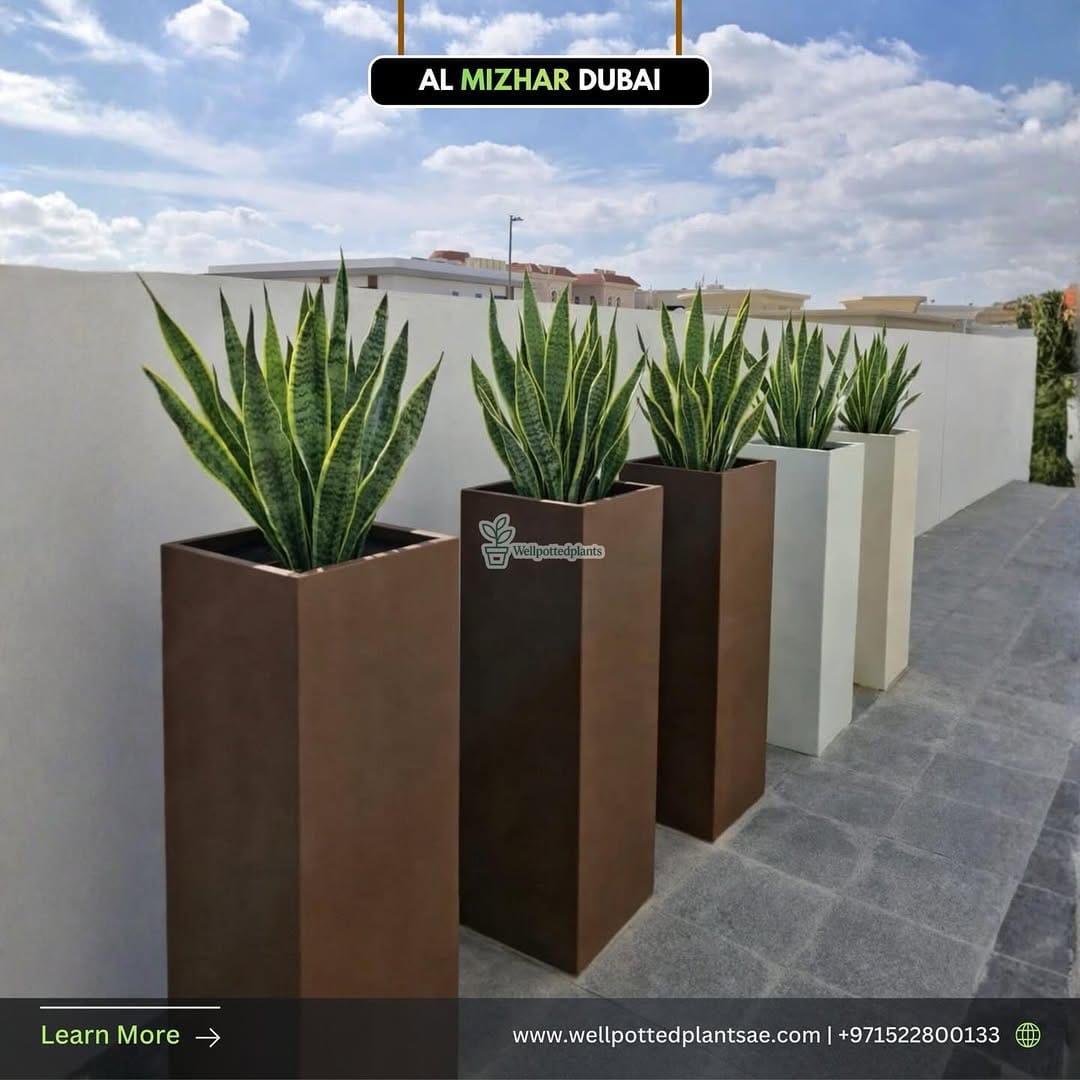 Post 1 by Well Potted Plants LLC on Instagram (image)