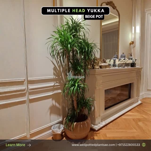 Post 4 by Well Potted Plants LLC on Instagram (video)