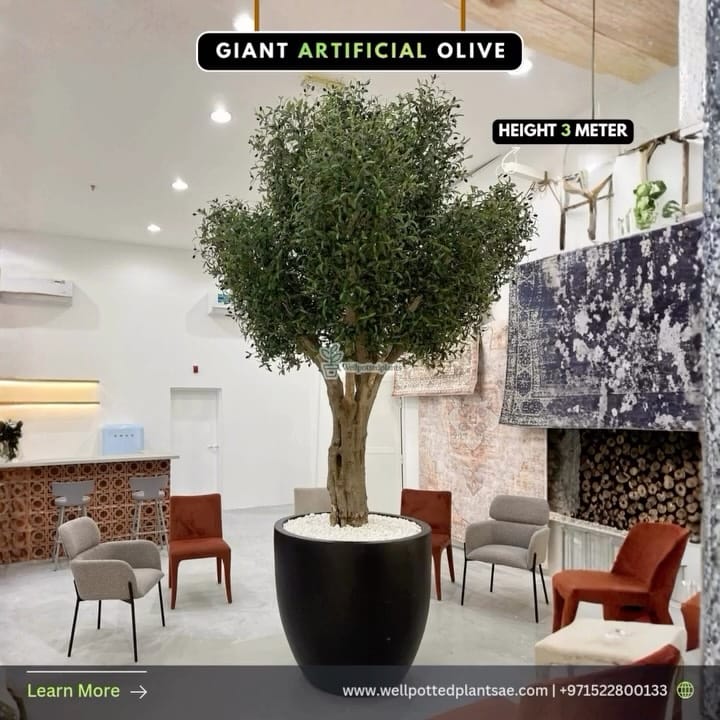 Post 6 by Well Potted Plants LLC on Instagram (video)
