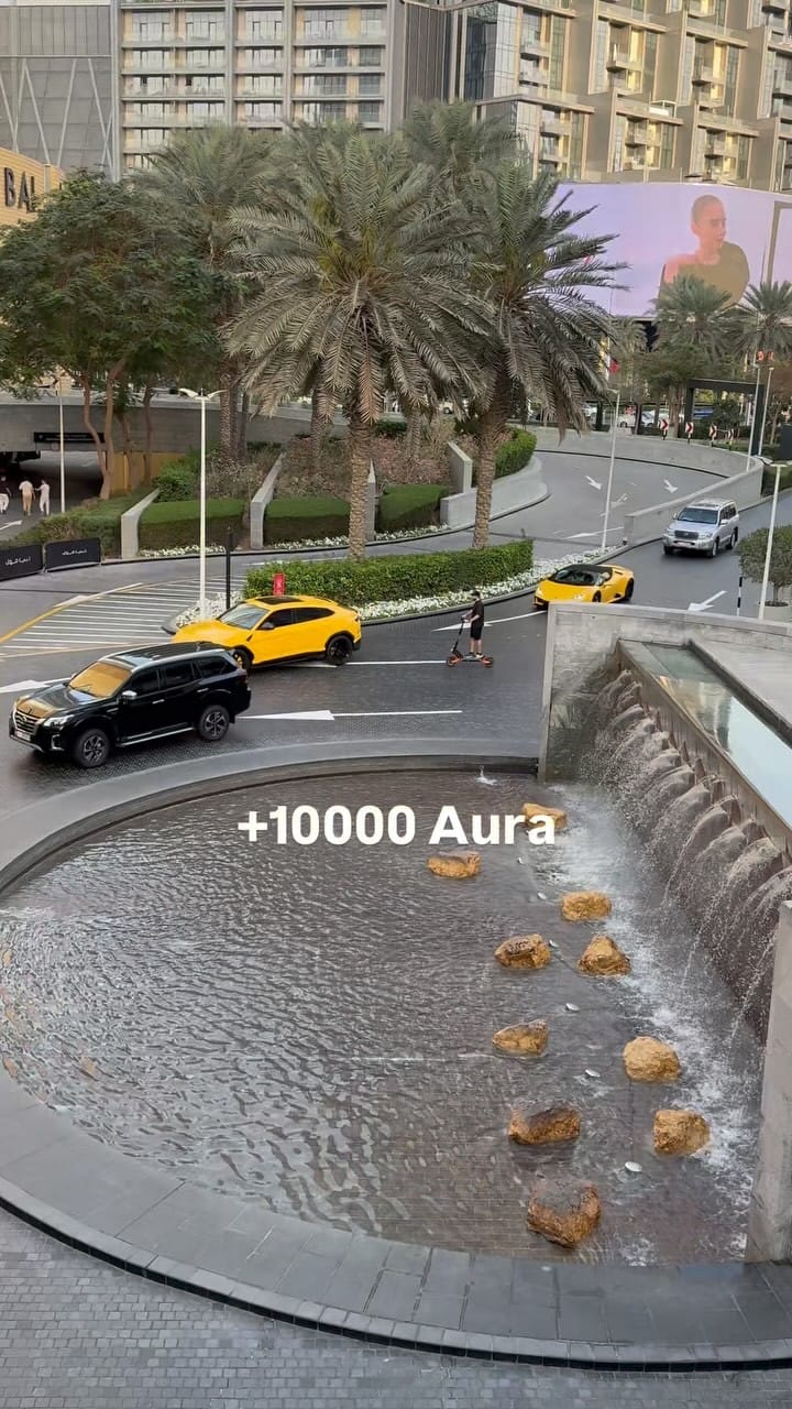 Post 7 by ARUBAINE on Instagram (video)