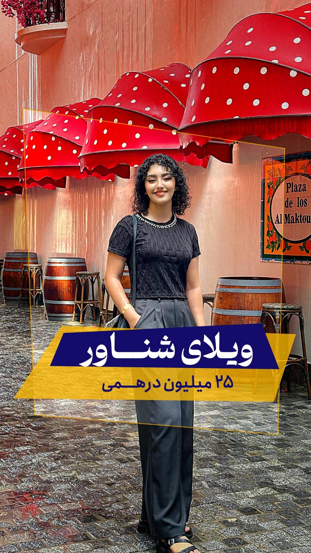Post 9 by Maedeh Movassagh on Instagram (video)