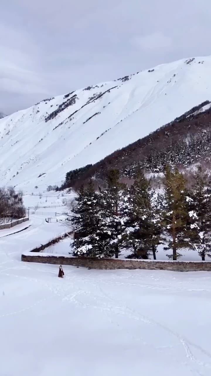 Post 5 by Oriana Findlay on Instagram (video)