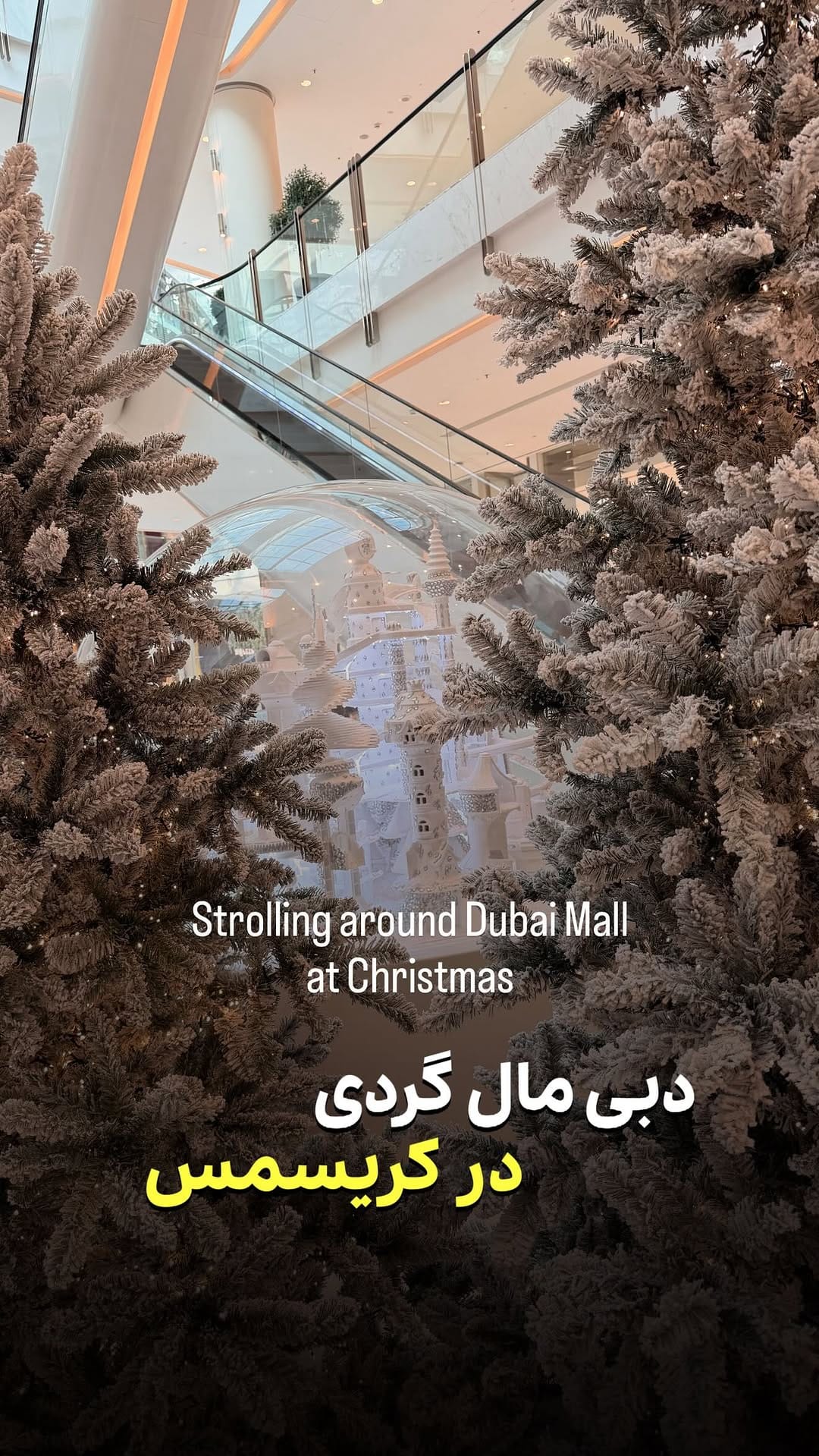 Post 7 by Sahar Garivani on Instagram (video)