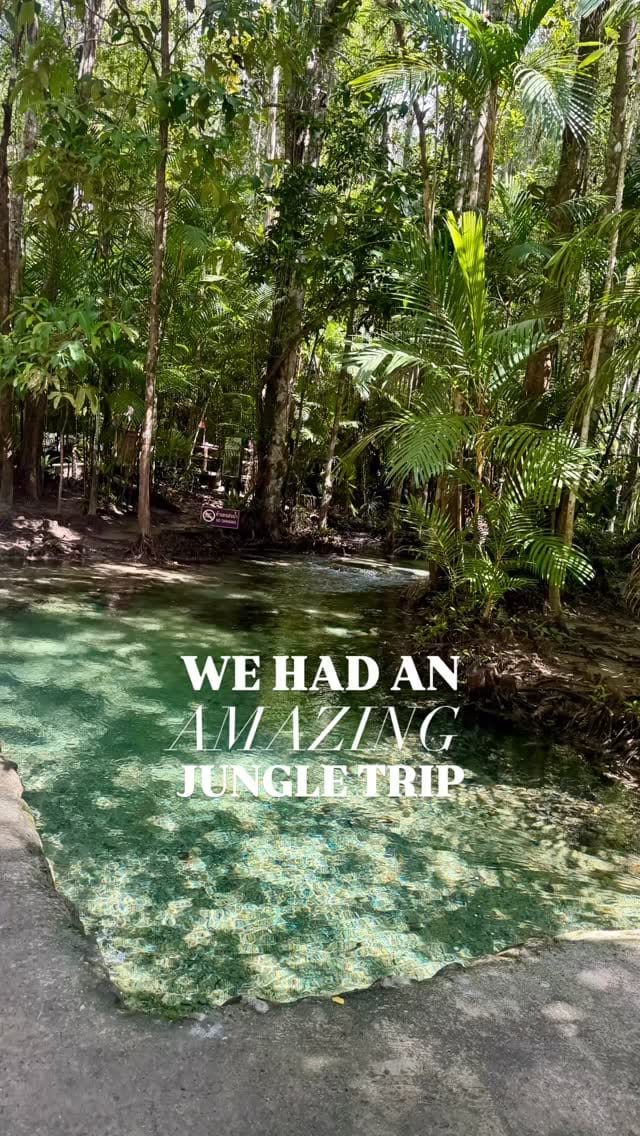 Post 4 by Naima Amdaouech on Instagram (video)