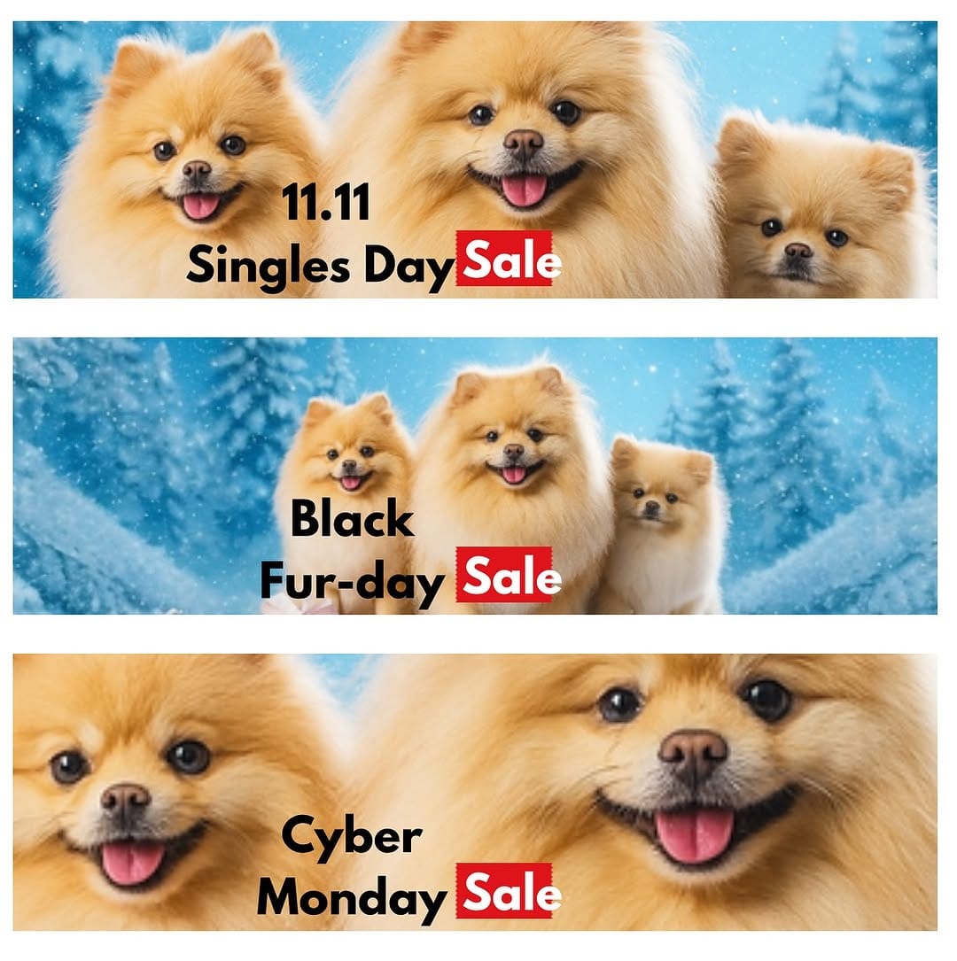 Post 3 by Bear Supreme | Designer Pet Clothes , Toys & Accessories on Instagram (image)