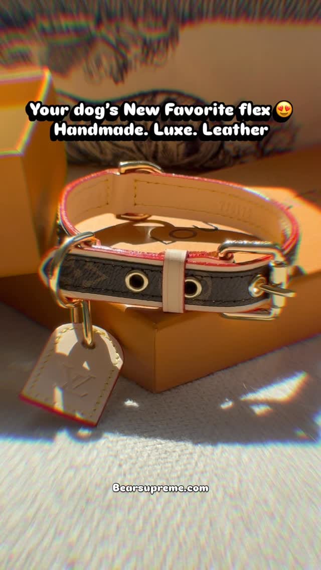 Post 9 by Bear Supreme | Designer Pet Clothes , Toys & Accessories on Instagram (video)