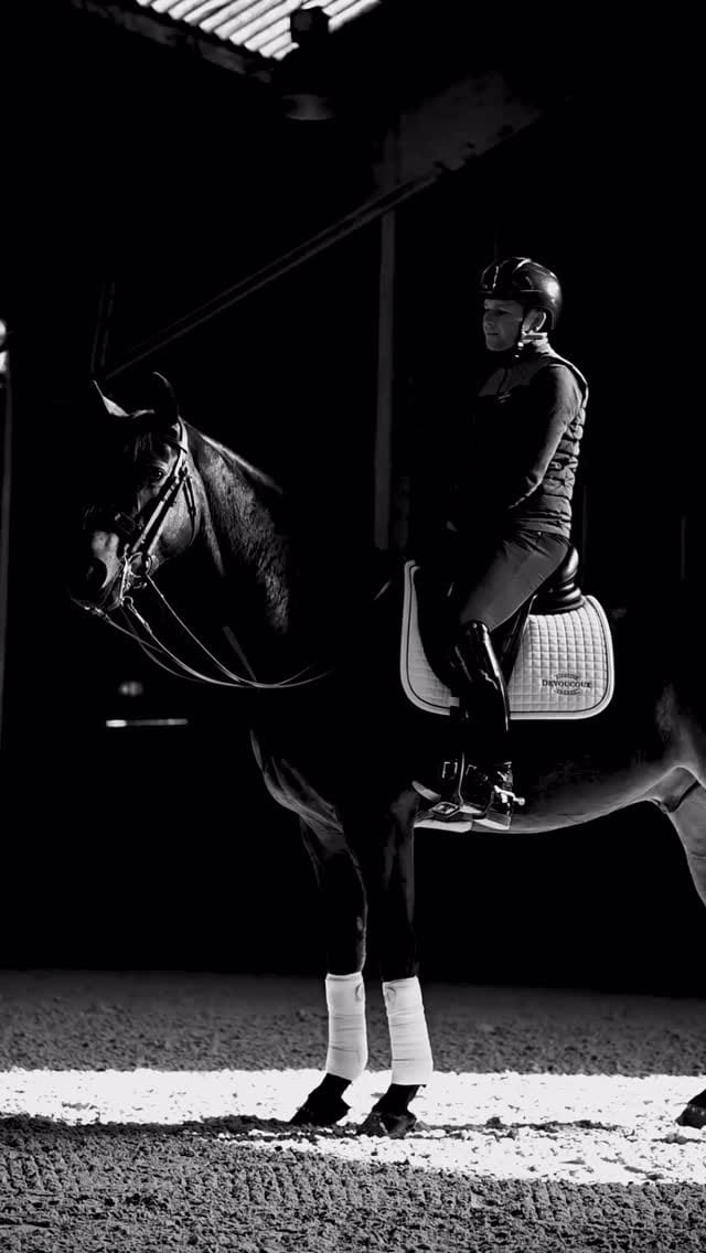 Post 1 by Cavalos Equine Care & Supplies on Instagram (video)