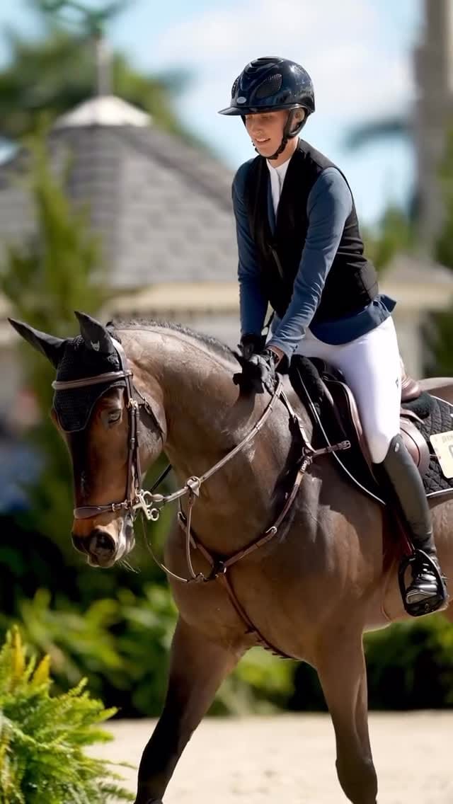 Post 3 by Cavalos Equine Care & Supplies on Instagram (video)