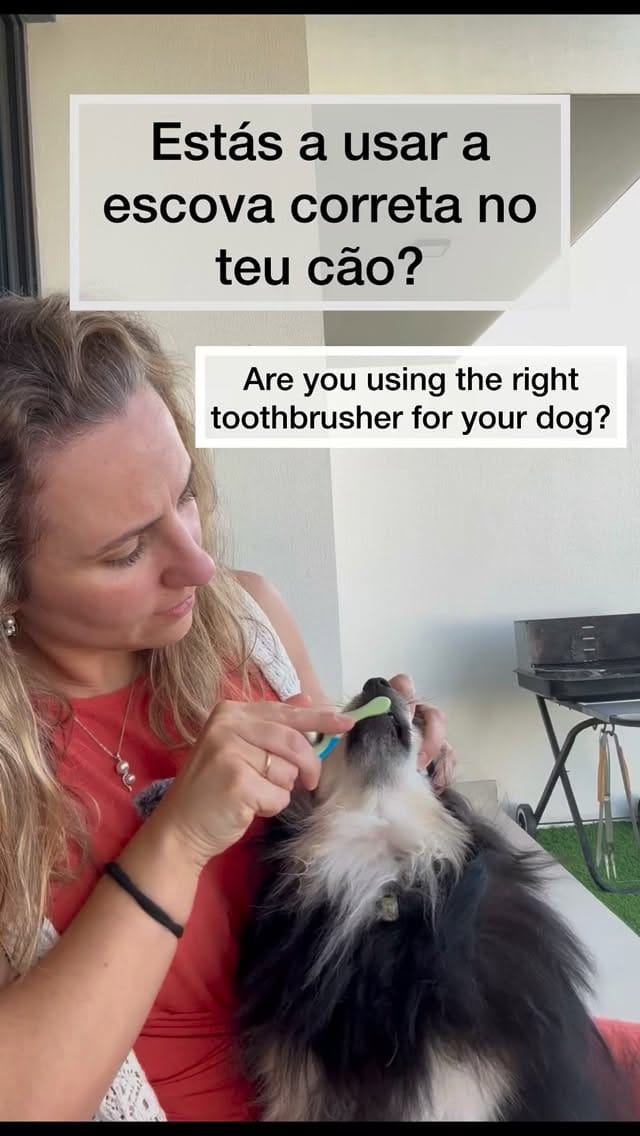 Post 9 by Dr.Diana Lavareda | Balanced Vet Life on Instagram (video)