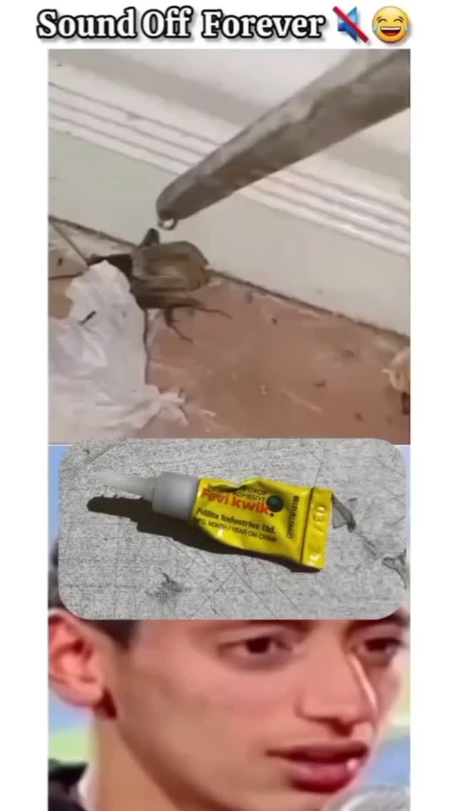 Post 4 by 🇩🇿🙏 on Instagram (video)