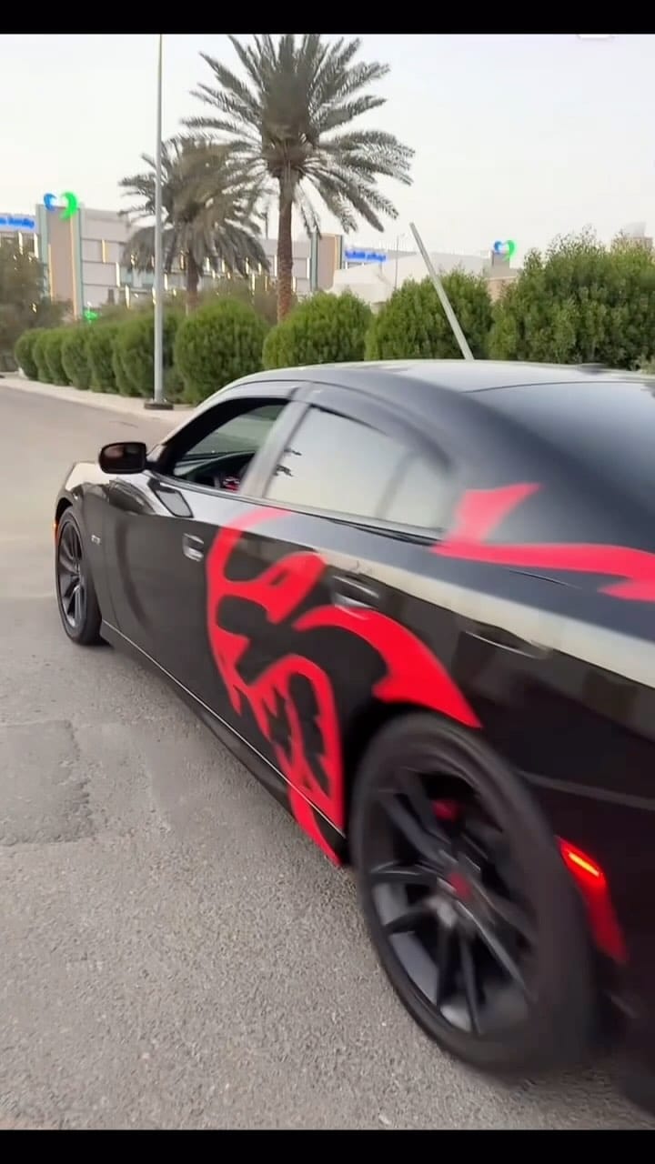 Post 9 by Samiha Imran on Instagram (video)