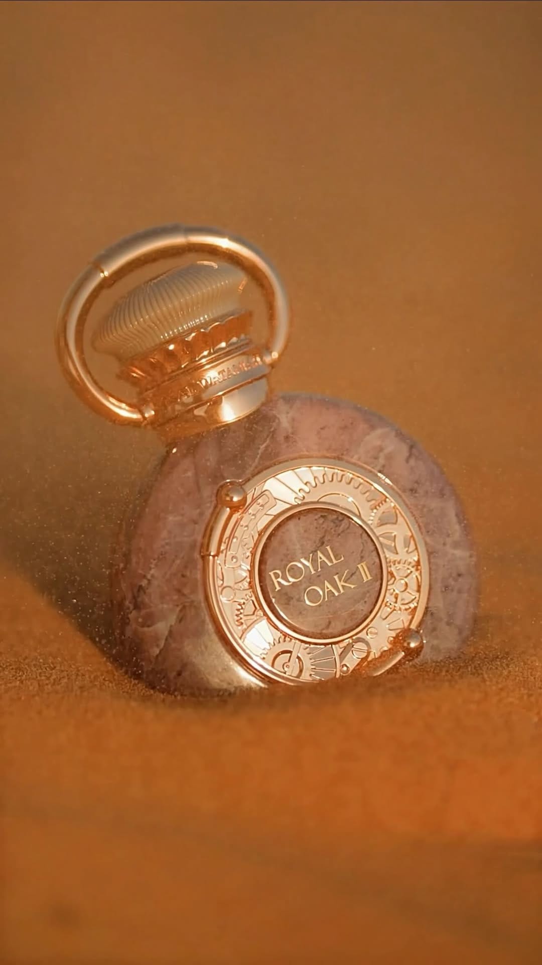 Post 4 by Sura Al-Hamid on Instagram (video)