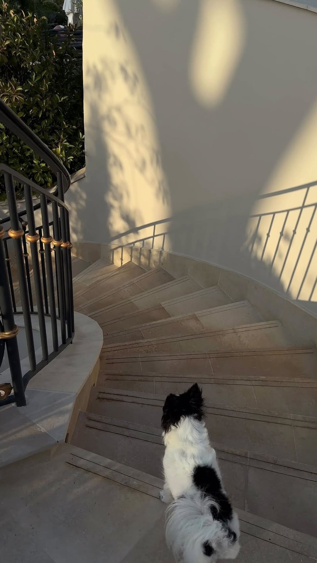 Post 4 by Zoe Witherspoon on Instagram (video)
