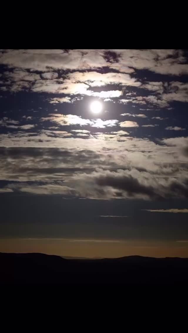 Post 7 by Scent Bar on Instagram (video)