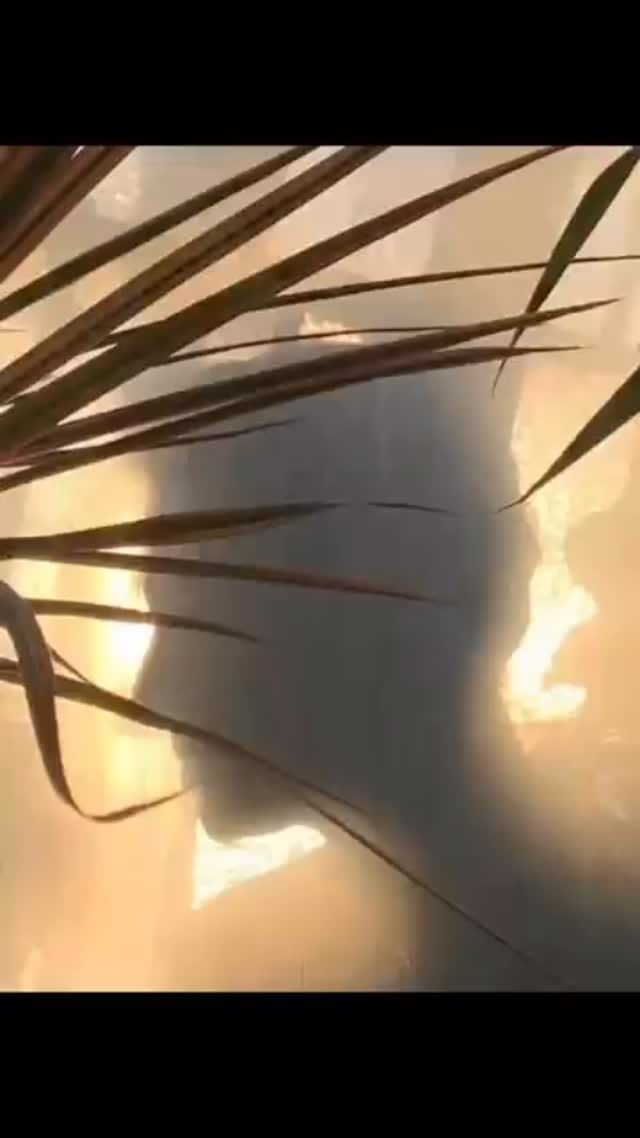 Post 4 by Scent Bar on Instagram (video)